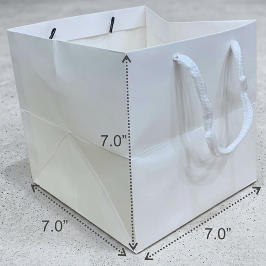 Premium Cake Carry Bag